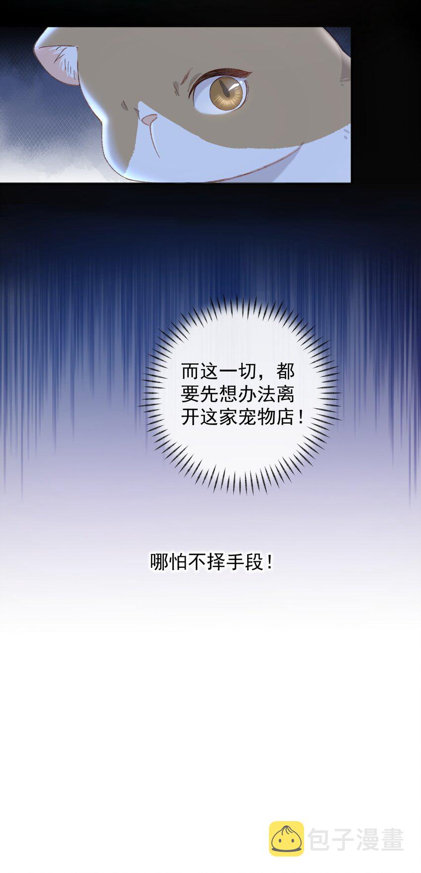 加菲猫复仇记第一季全集漫画,001 充满智慧的小猫咪2图