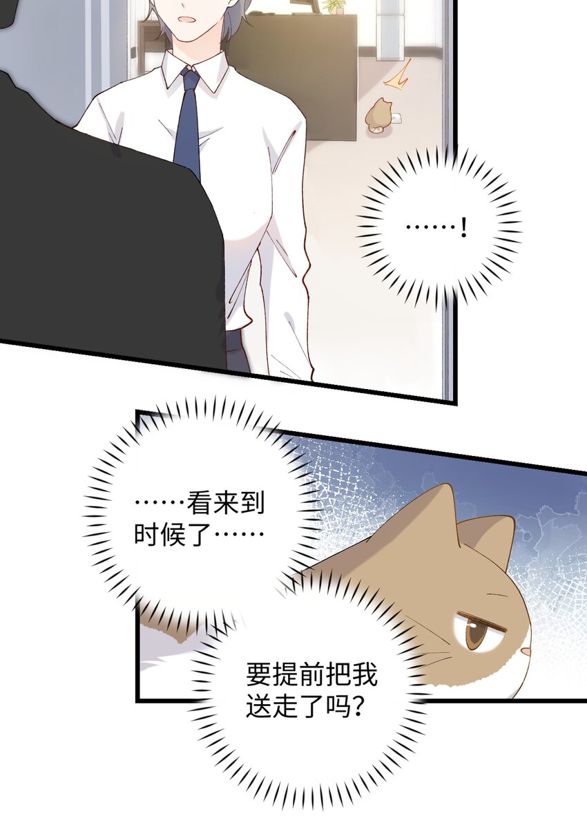 加菲猫复仇记第一季全集漫画,022 梦幻开局1图