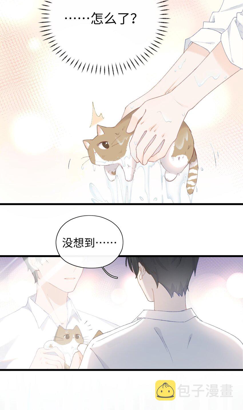 加菲猫复仇记漫画免费阅读下拉式漫画,011 猛  男  盘  蛋1图