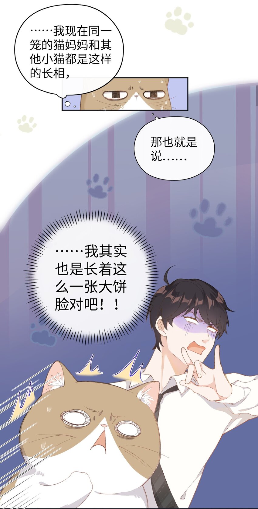 加菲猫复仇记第一季全集漫画,001 充满智慧的小猫咪1图