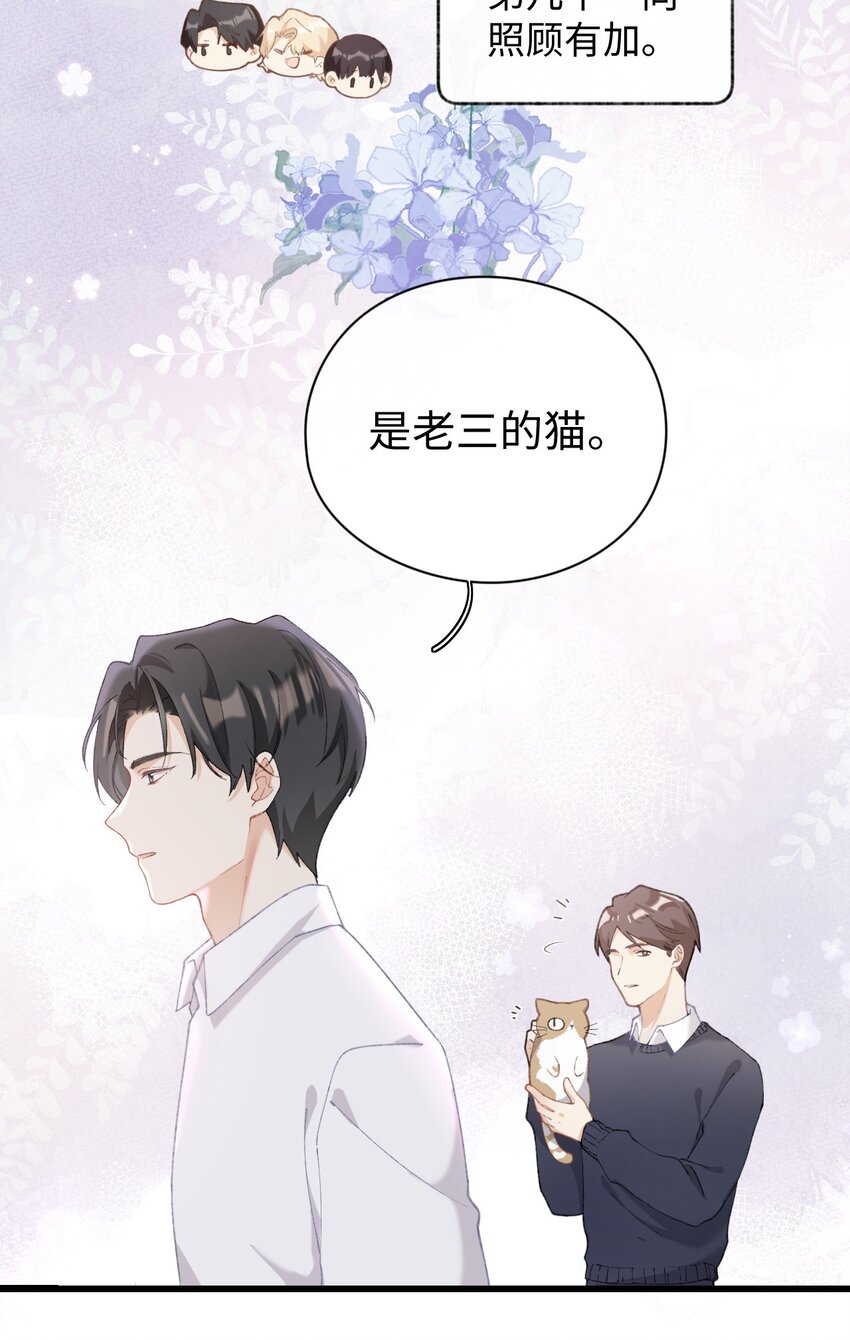 加菲猫复仇记漫画免费阅读下拉式漫画,005 猫猫回家乐2图