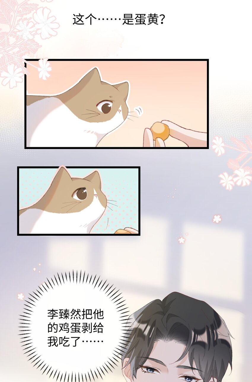 加菲猫复仇记第一季全集漫画,007 这蛋黄温暖如春2图