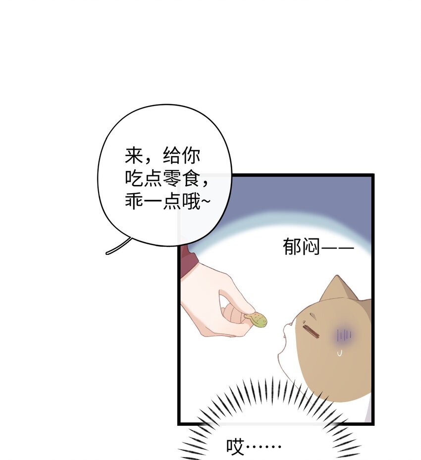 加菲猫复仇记漫画,008 白白胖胖，充满希望1图
