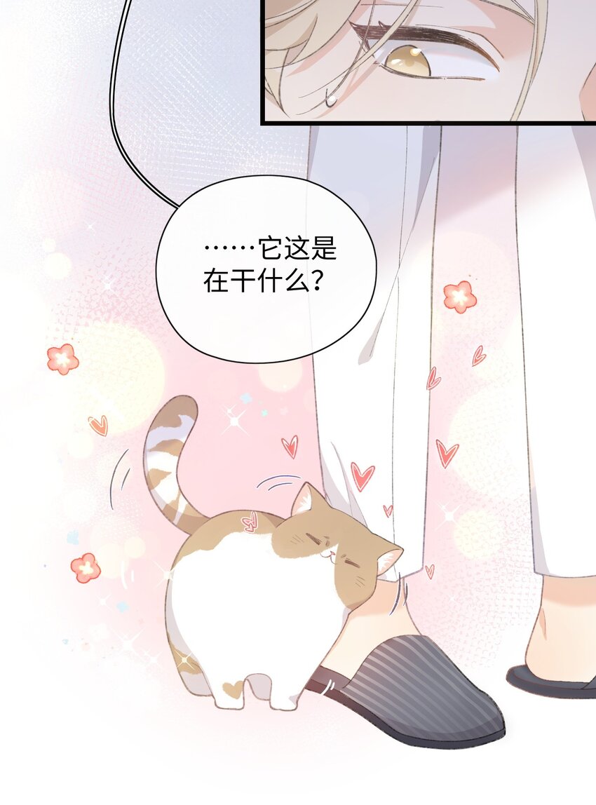 加菲猫复仇记第一季全集漫画,002 情侣养宠，多半分手1图
