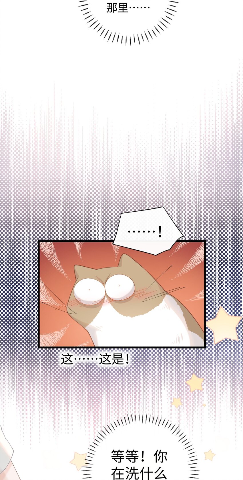 加菲猫复仇记漫画免费阅读下拉式漫画,011 猛  男  盘  蛋1图