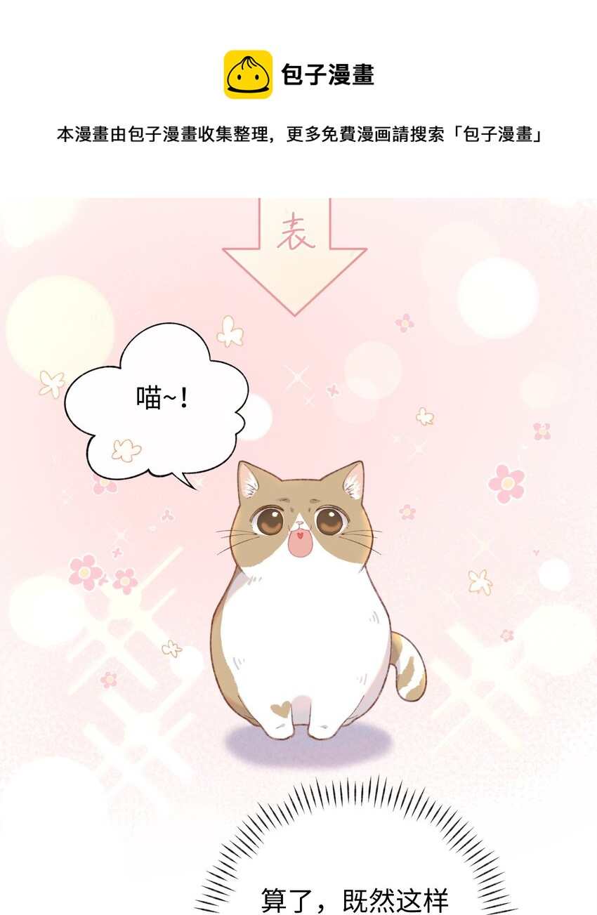 加菲猫复仇记漫画免费阅读下拉式漫画,004 再回李府1图
