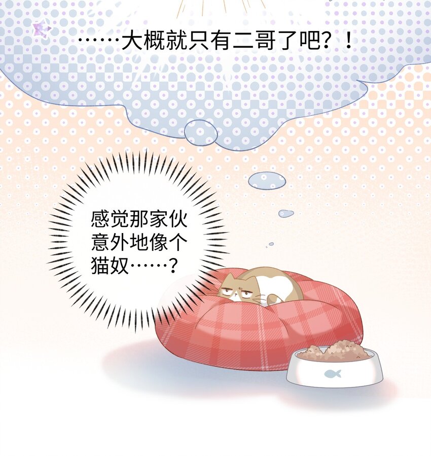 加菲猫复仇记讲什么漫画,008 白白胖胖，充满希望1图