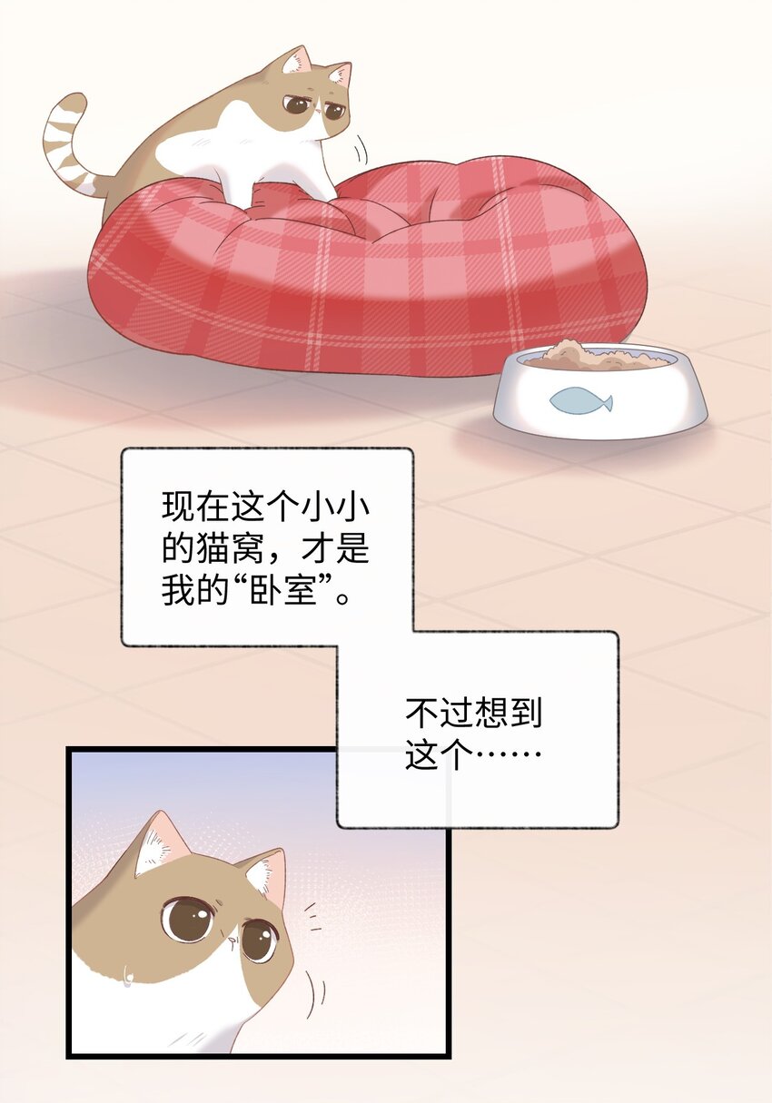 加菲猫复仇记漫画,008 白白胖胖，充满希望1图