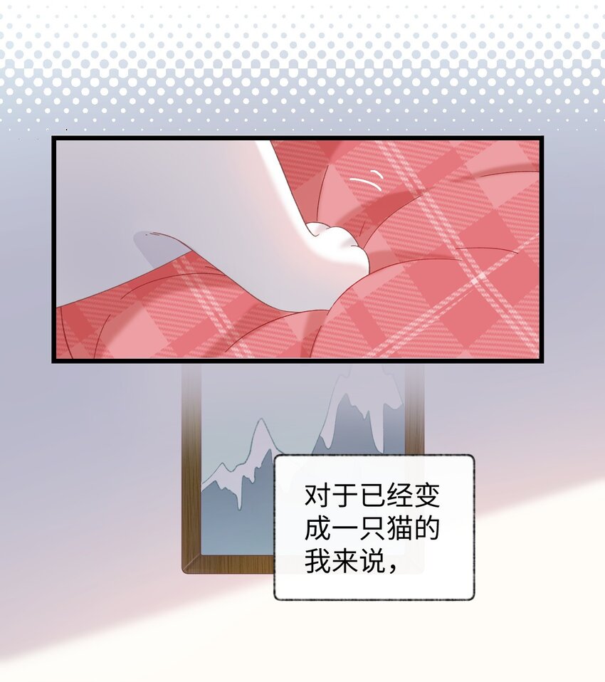 加菲猫复仇记漫画,008 白白胖胖，充满希望2图