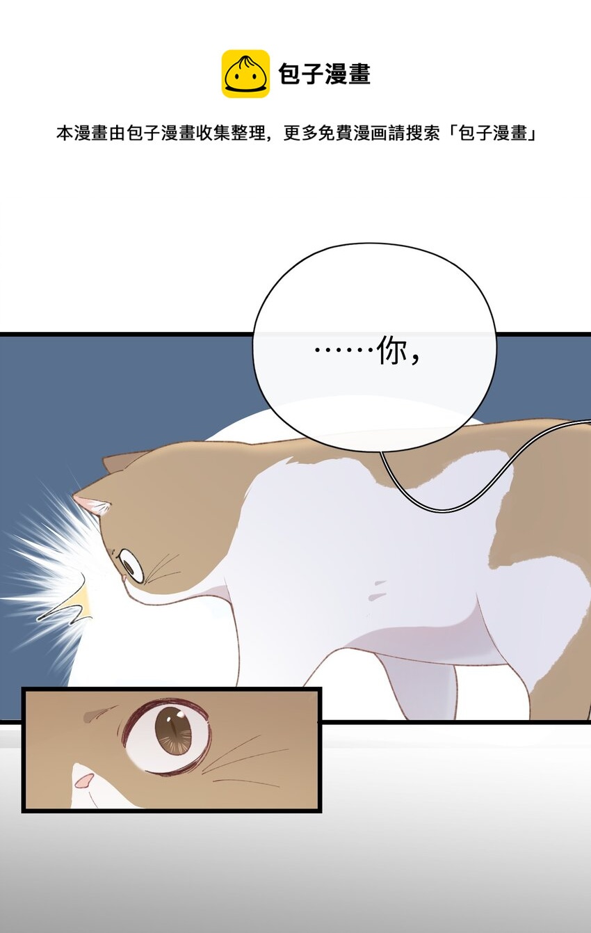 加菲猫复仇记第一季全集漫画,003 只是因爲在电梯门口多看你一眼 ♪1图