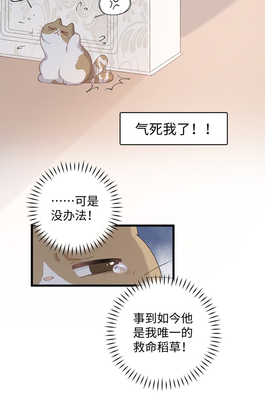 加菲猫复仇记漫画免费阅读下拉式漫画,021 看看我鸭！2图