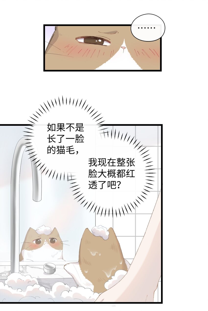 加菲猫复仇记漫画免费阅读下拉式漫画,011 猛  男  盘  蛋2图