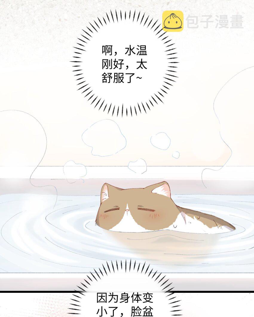 加菲猫复仇记漫画免费阅读下拉式漫画,011 猛  男  盘  蛋1图