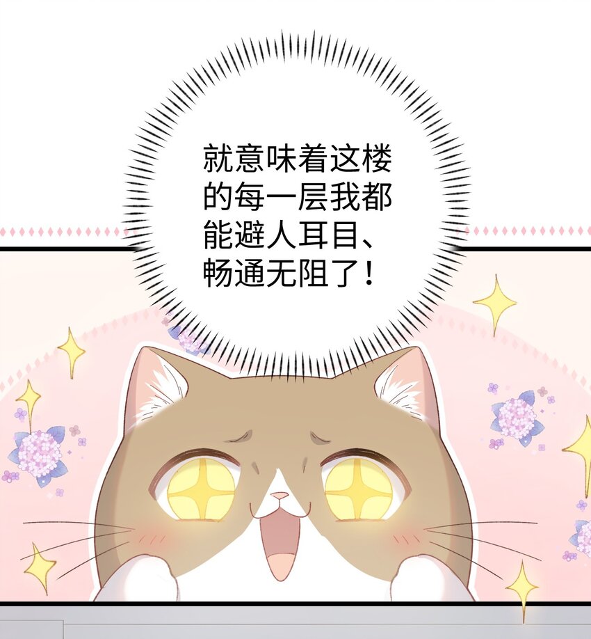 加菲猫复仇记第一季全集漫画,009 猫猫翻大车2图