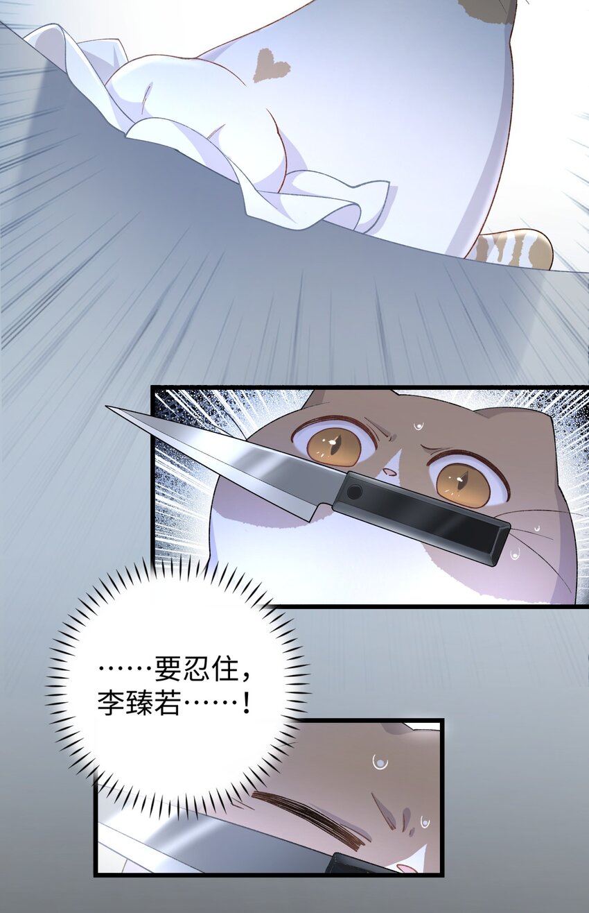 加菲猫复仇记第一季全集漫画,018 逮到你了！1图