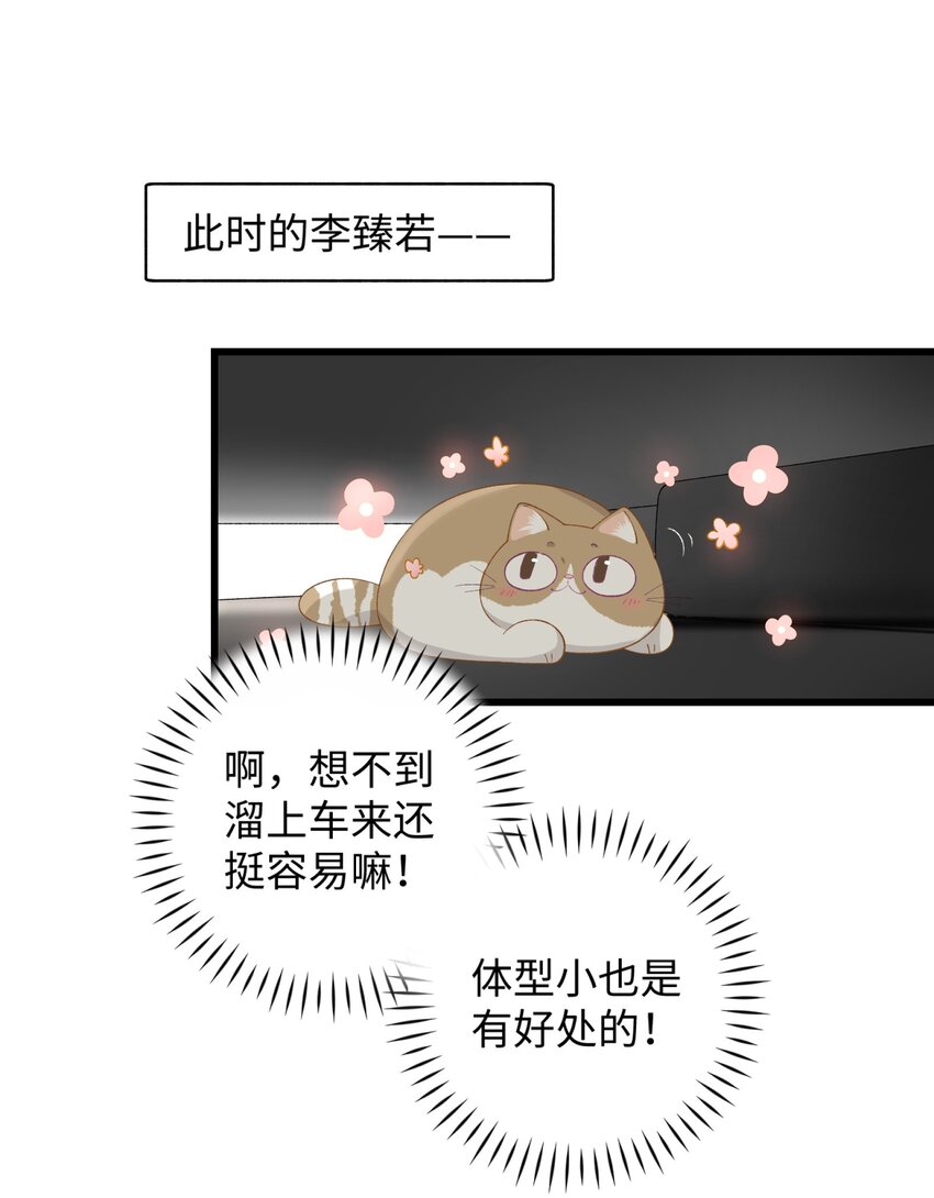 加菲猫复仇记漫画免费阅读下拉式漫画,017 李·福尔摩斯·机智·团儿1图