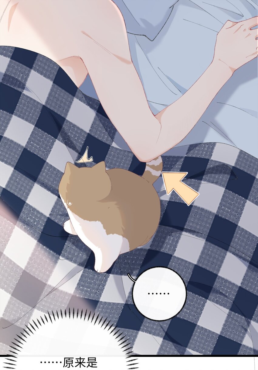 加菲猫复仇记第一季全集漫画,012 关於李臻然似乎并不想找对象这件事/doge1图