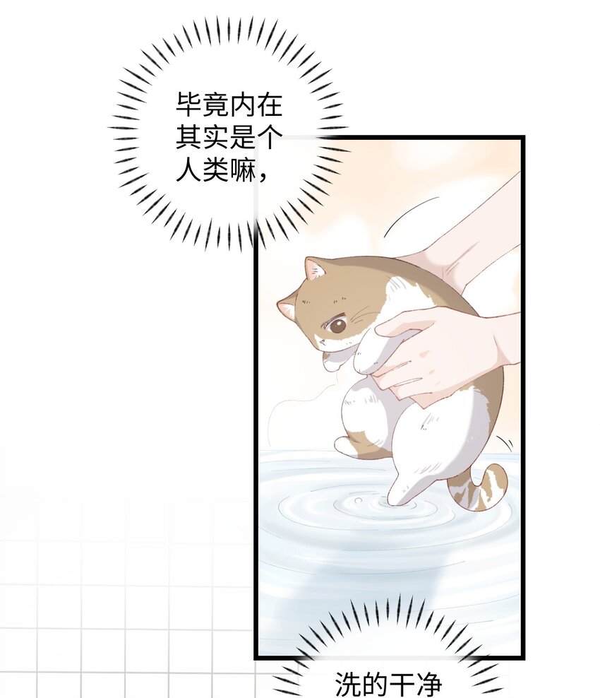 加菲猫复仇记漫画免费阅读下拉式漫画,011 猛  男  盘  蛋1图
