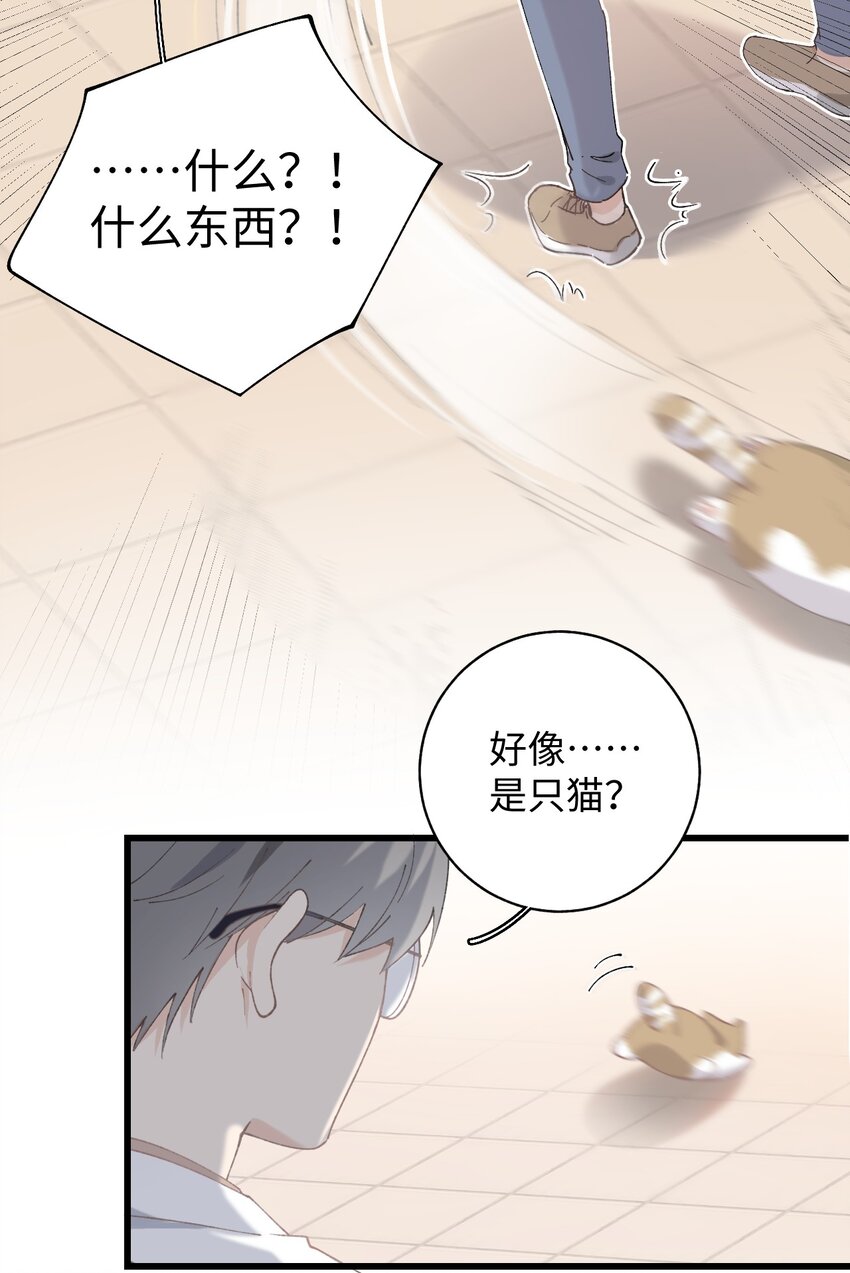 加菲猫复仇记漫画免费阅读下拉式漫画,026 危！2图