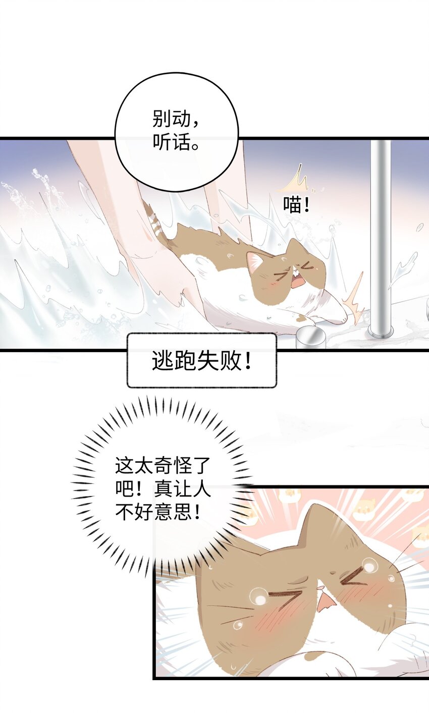 加菲猫复仇记漫画免费阅读下拉式漫画,011 猛  男  盘  蛋1图