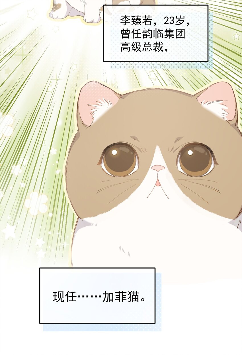 加菲猫复仇记第一季全集漫画,001 充满智慧的小猫咪2图
