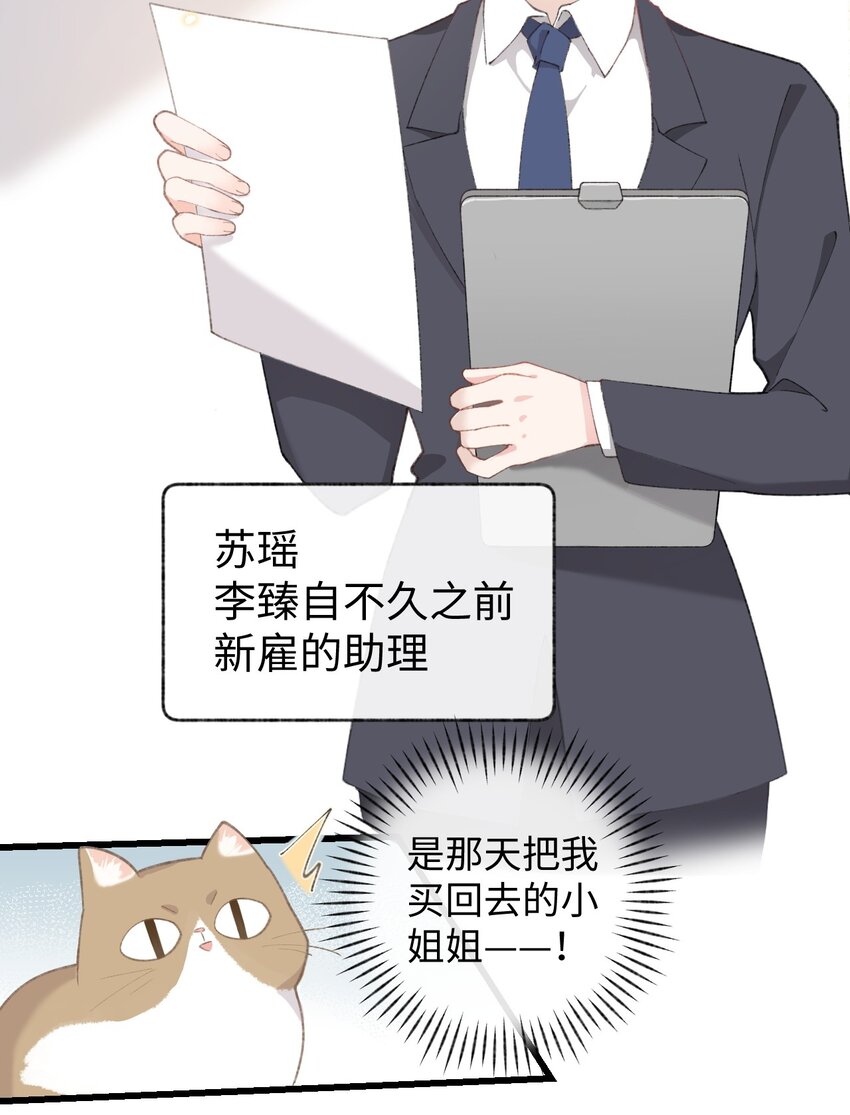 加菲猫复仇记第一季全集漫画,002 情侣养宠，多半分手1图