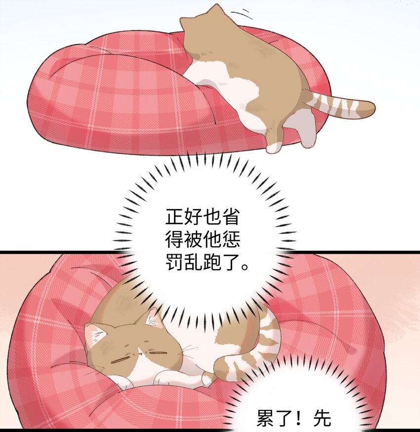 加菲猫复仇记漫画免费阅读下拉式漫画,10 脏脏猫计划通1图