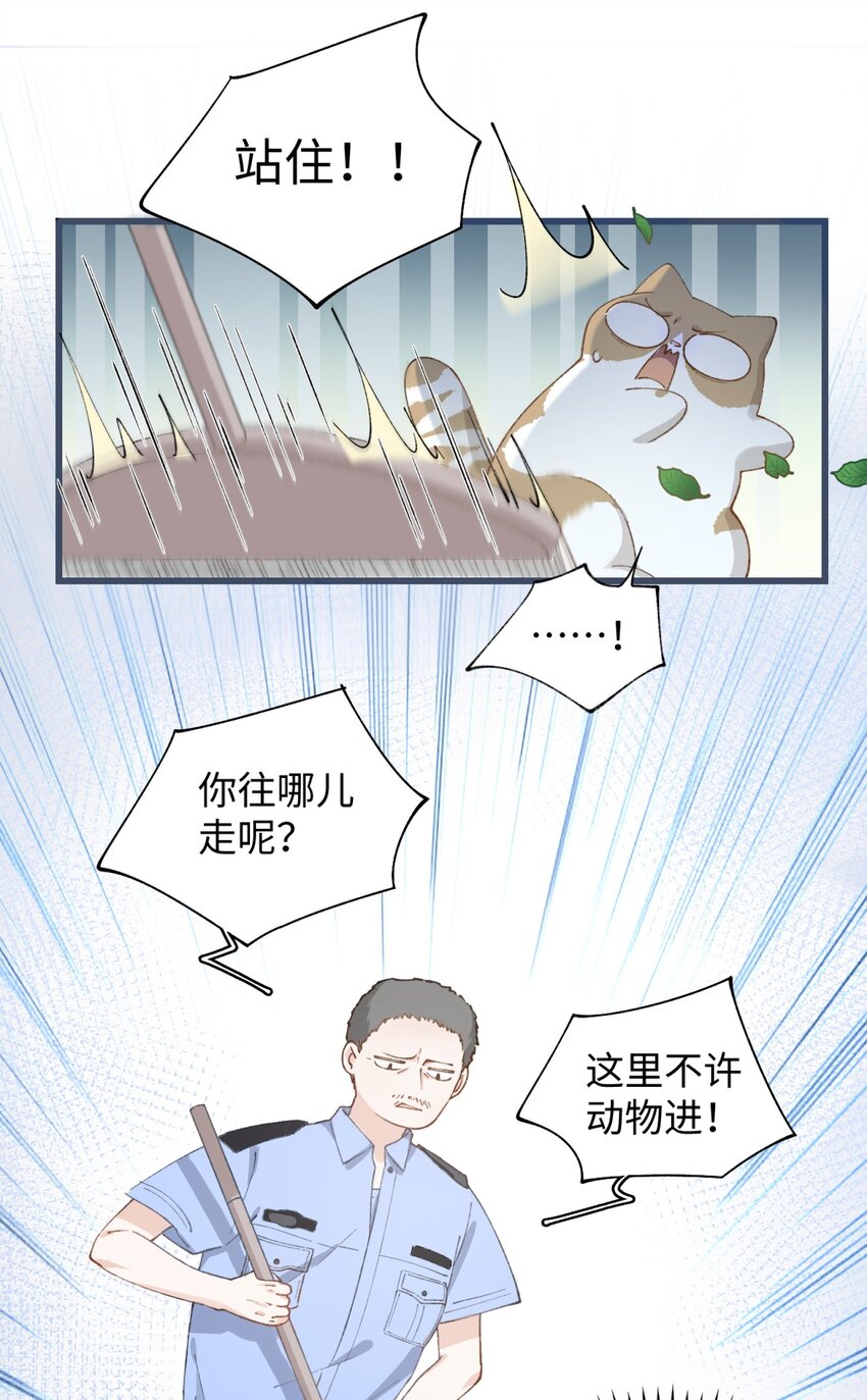加菲猫复仇记第一季全集漫画,024 修猫咪逃逸成功2图