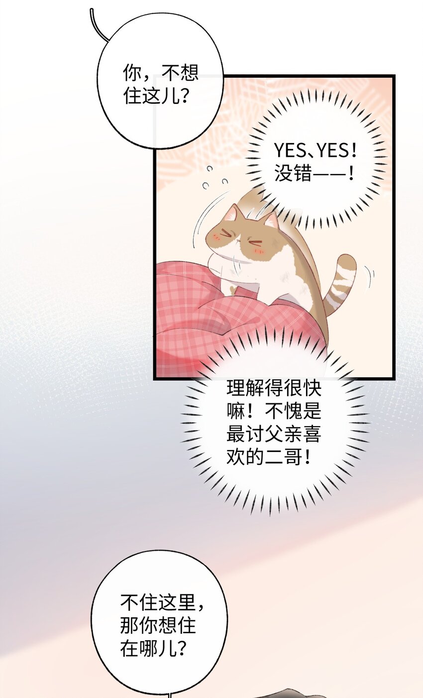 加菲猫复仇记漫画免费阅读下拉式漫画,10 脏脏猫计划通1图