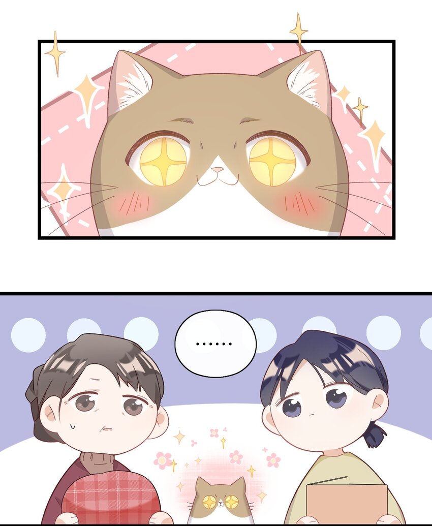 加菲猫复仇记漫画,008 白白胖胖，充满希望2图
