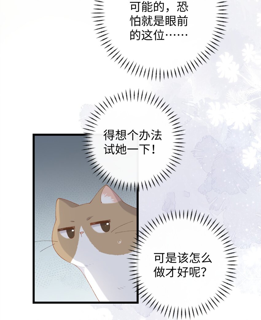 加菲猫复仇记第一季全集漫画,012 关於李臻然似乎并不想找对象这件事/doge2图