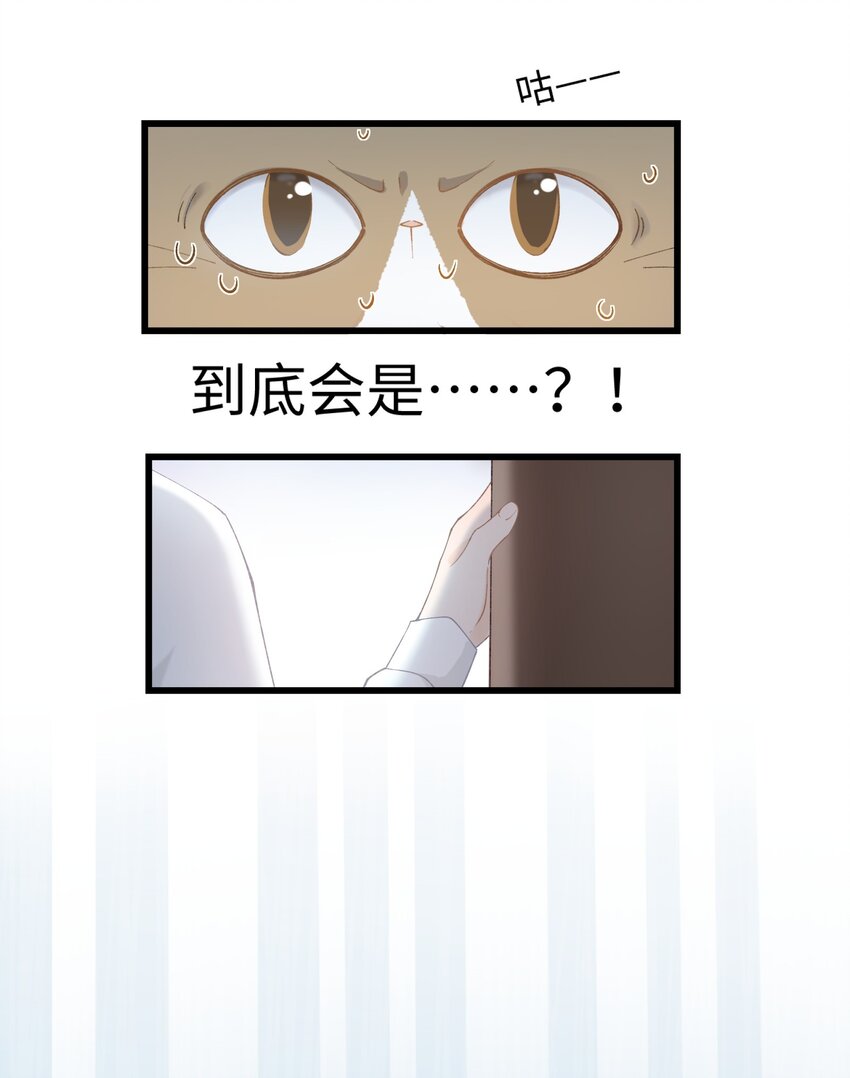 加菲猫复仇记漫画免费阅读下拉式漫画,013 你就陪我单身吧！2图