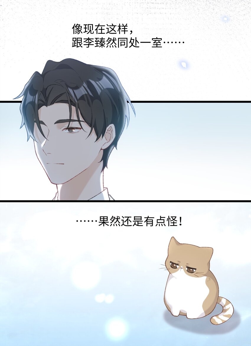 加菲猫复仇记第一季全集漫画,003 只是因爲在电梯门口多看你一眼 ♪2图