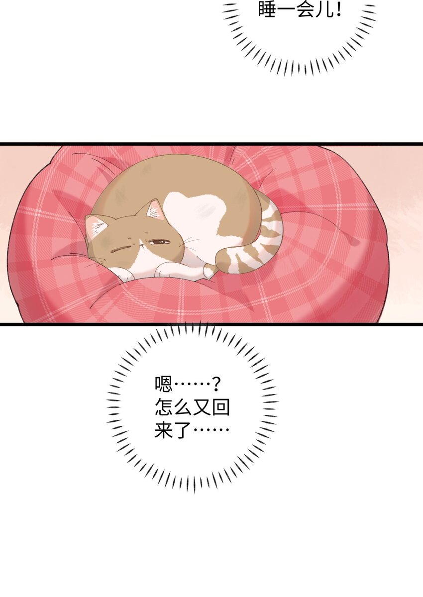 加菲猫复仇记漫画免费阅读下拉式漫画,10 脏脏猫计划通2图