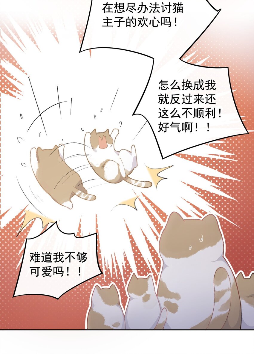 加菲猫复仇记第一季全集漫画,001 充满智慧的小猫咪2图