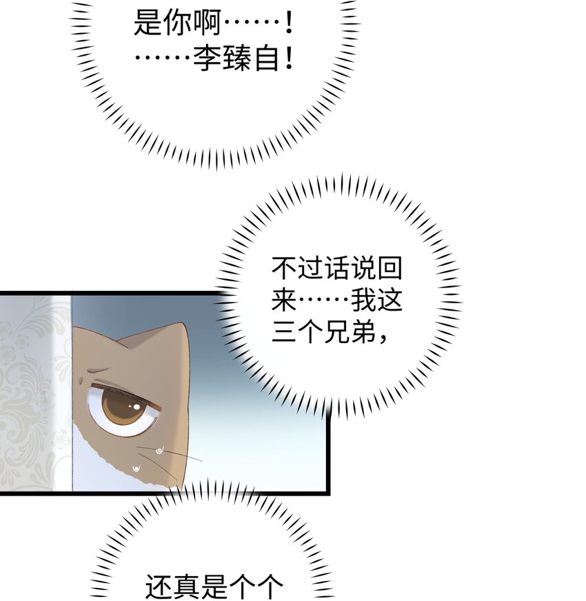 加菲猫复仇记漫画免费阅读下拉式漫画,019 萌混过关1图