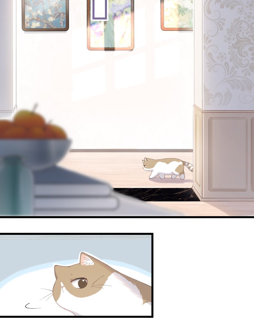 加菲猫复仇记第一季全集漫画,016 壕 无 人 性2图