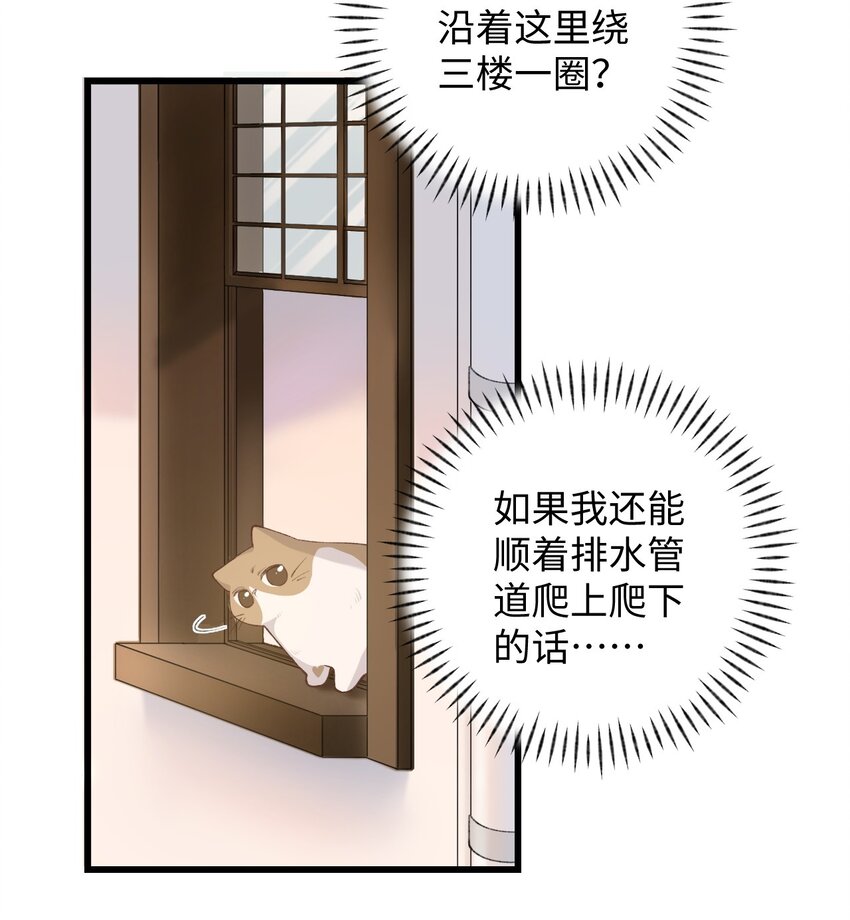 加菲猫复仇记第一季全集漫画,009 猫猫翻大车1图