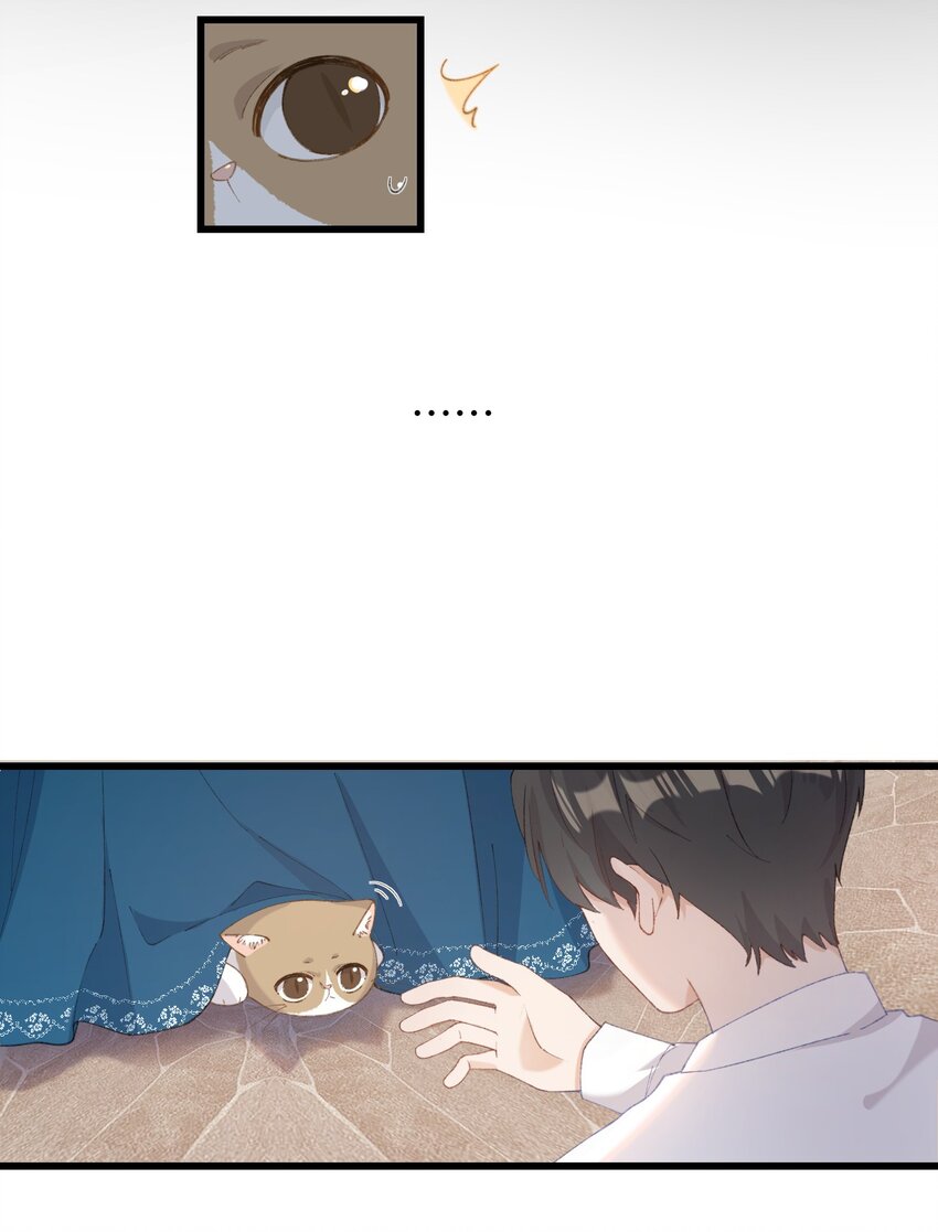加菲猫复仇记漫画免费阅读下拉式漫画,007 这蛋黄温暖如春2图