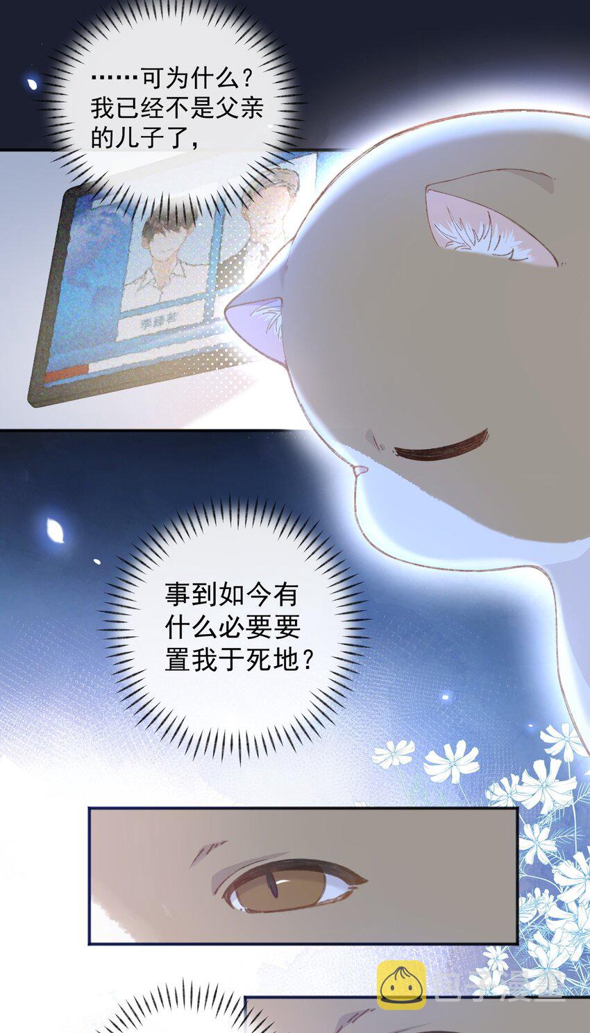 加菲猫复仇记第一季全集漫画,001 充满智慧的小猫咪2图