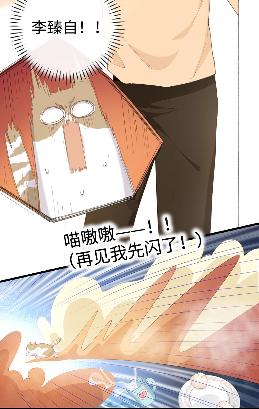 加菲猫复仇记漫画免费阅读下拉式漫画,007 这蛋黄温暖如春2图