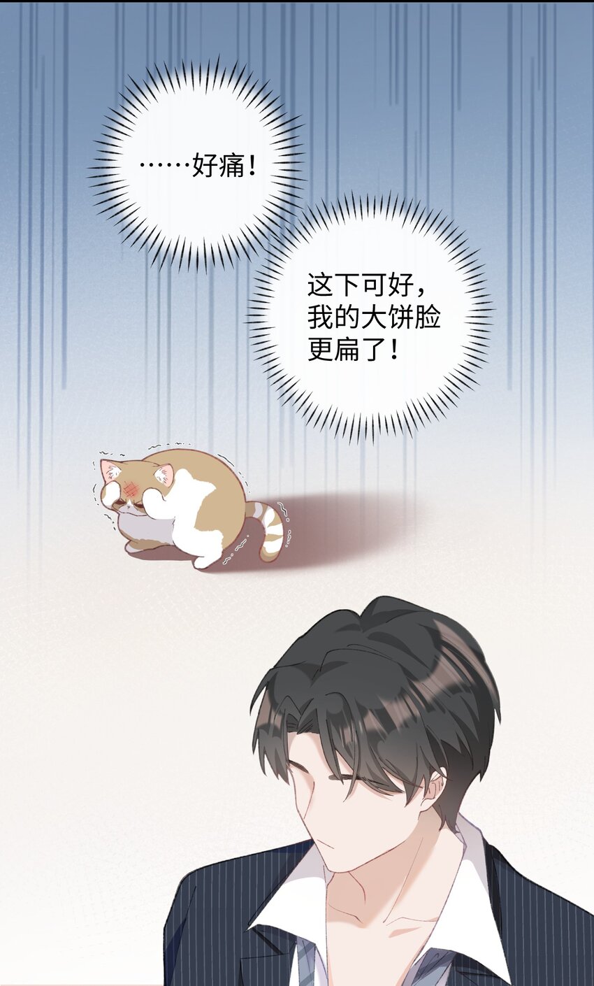 加菲猫复仇记漫画免费阅读下拉式漫画,004 再回李府2图