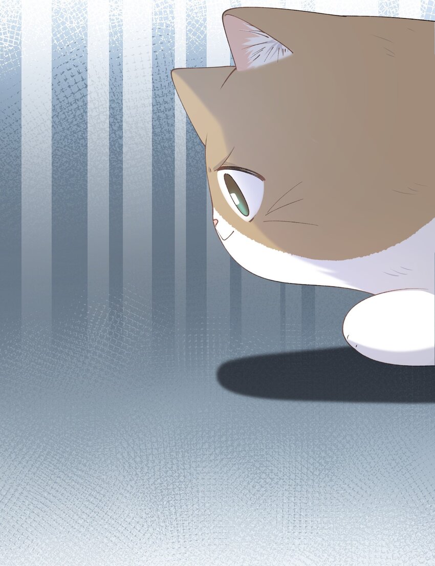 加菲猫复仇记第一季全集漫画,025 会是他吗…？1图