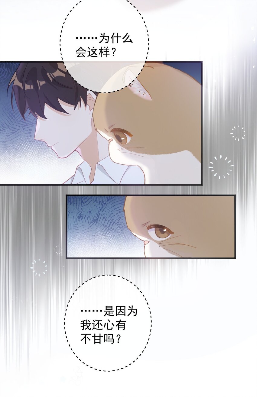 加菲猫复仇记第一季全集漫画,001 充满智慧的小猫咪2图