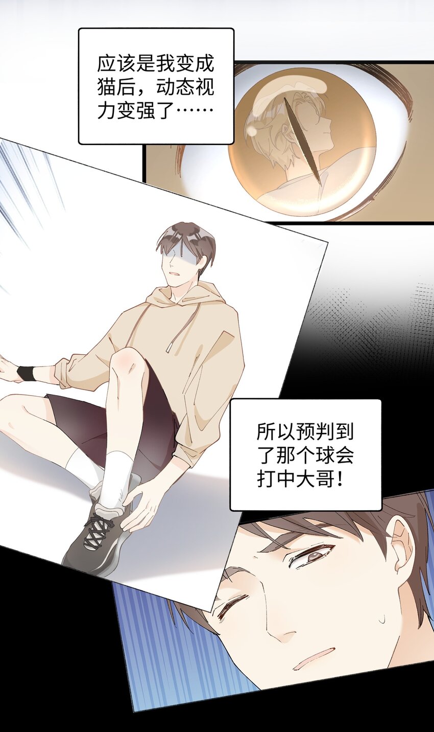 加菲猫复仇记第一季全集漫画,015 原则喂了小鱼乾1图