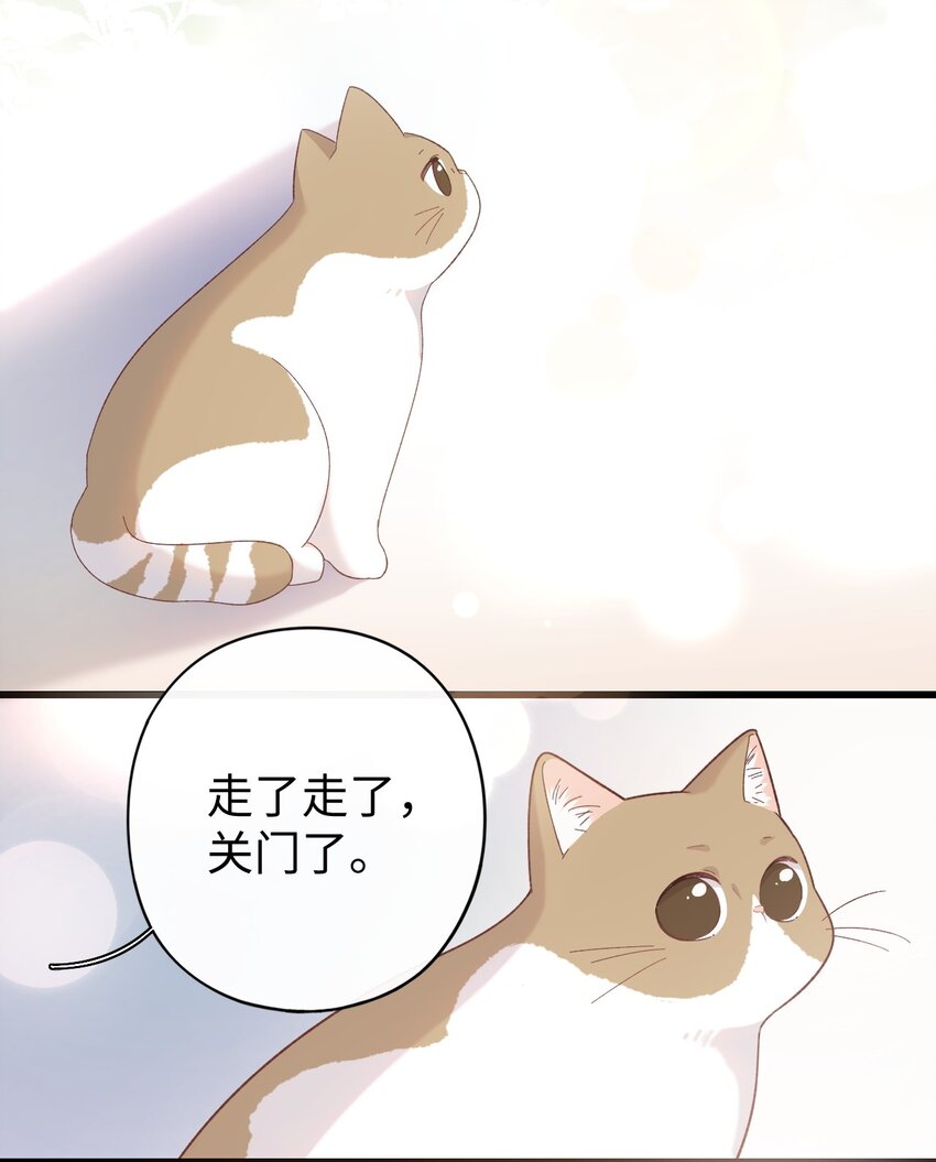 加菲猫复仇记漫画,008 白白胖胖，充满希望1图