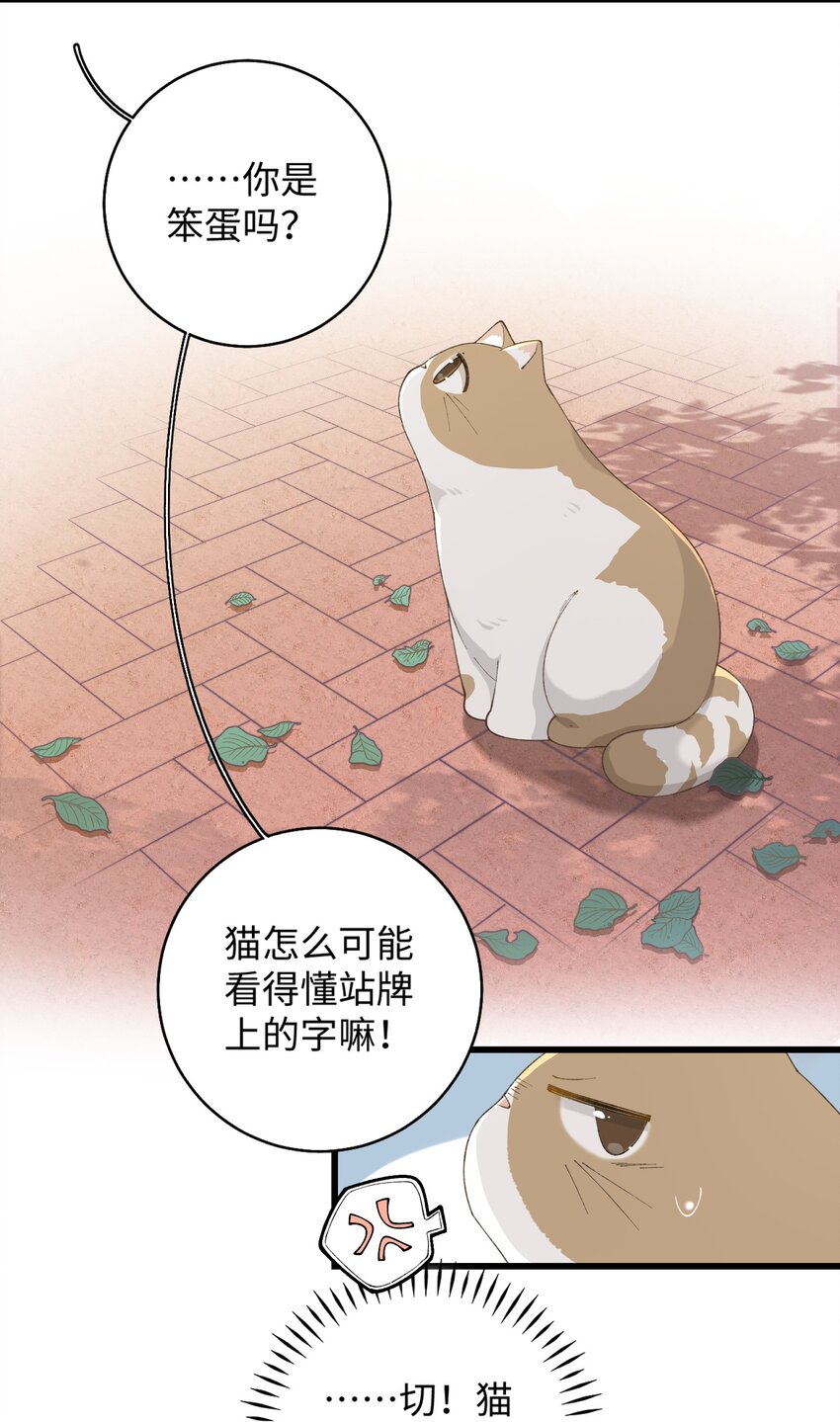 加菲猫复仇记漫画免费阅读下拉式漫画,024 修猫咪逃逸成功2图
