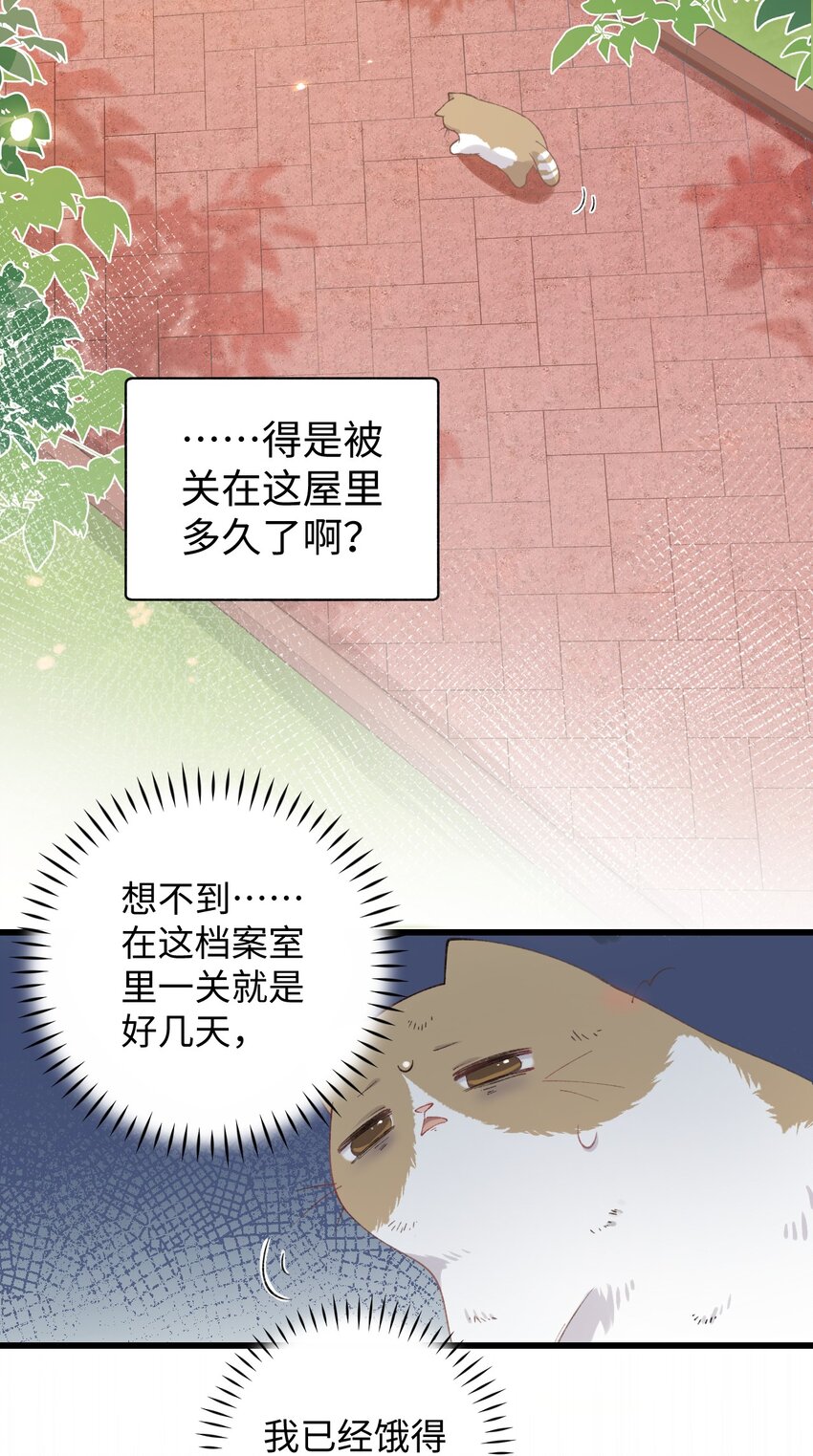 加菲猫复仇记漫画免费阅读下拉式漫画,026 危！1图