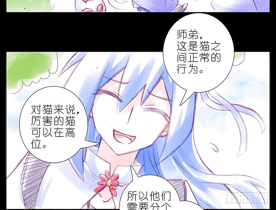 我家大师兄脑子有坑漫画,番外：忽然养只猫 八2图