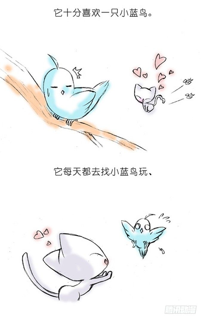我家大师兄脑子有坑漫画免费阅读漫画,番外：飞星喵4.我好喜欢小蓝鸟的2图